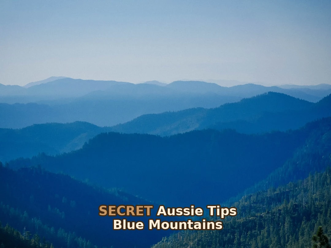 Want to Learn Blue Mountains Trail Running? Here’s Exactly How I Did It!