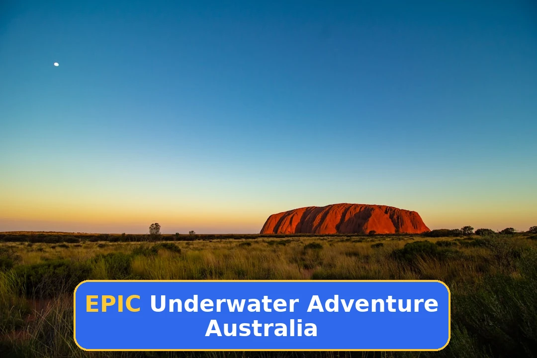 Scuba Diving in Australia: A Complete Beginner to Expert Guide