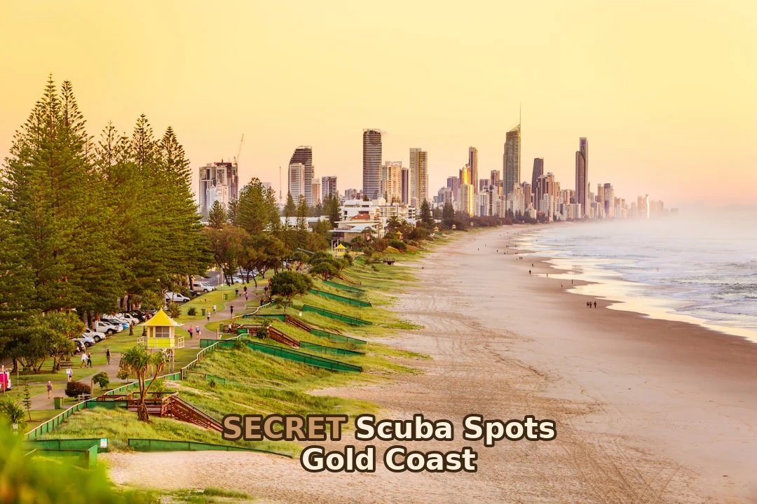 Everything you need to know about Gold Coast Scuba Diving in one post!