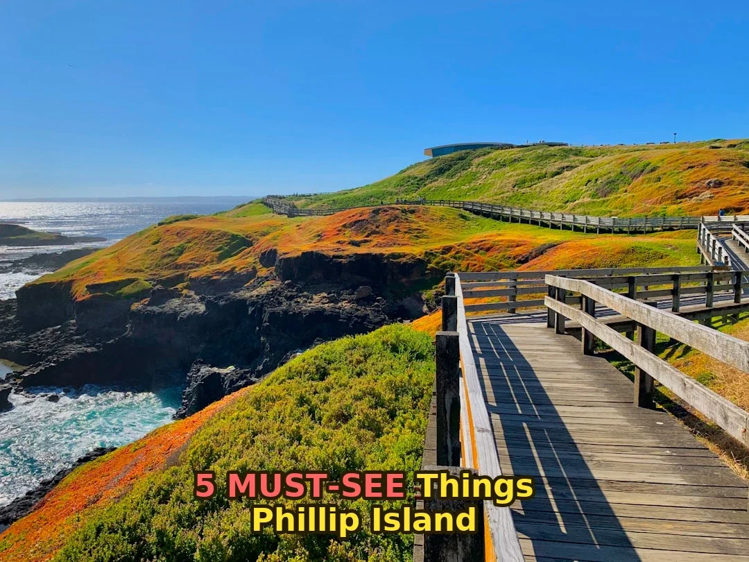 From Budget to Premium – Find Your Phillip Island Adventure Tier!