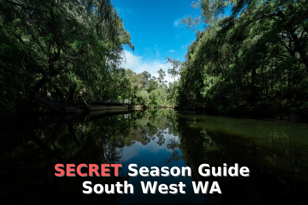 Best Time for Mountain Biking in South West WA | Monthly Breakdown
