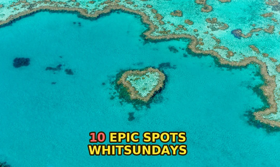 Here's exactly what to buy for Whitsundays kayaking adventures!