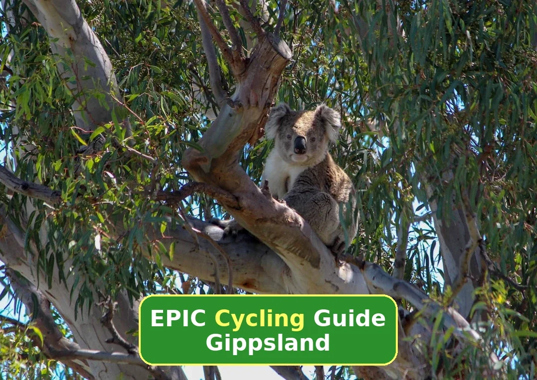 Gippsland Cycling: Complete Area Guide