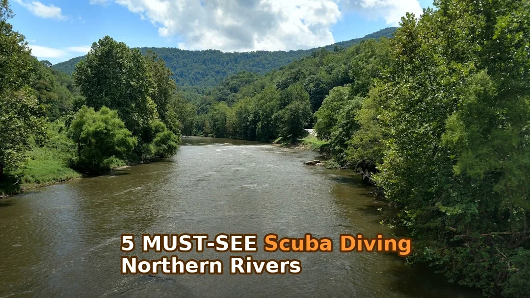 Complete Scuba Diving in Northern Rivers This Summer! Must-Do Spots by Category!