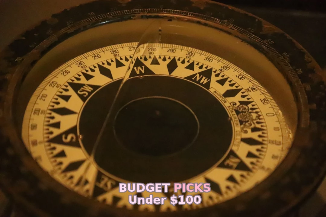 Best Navigation Under $100 | Budget Picks 2026