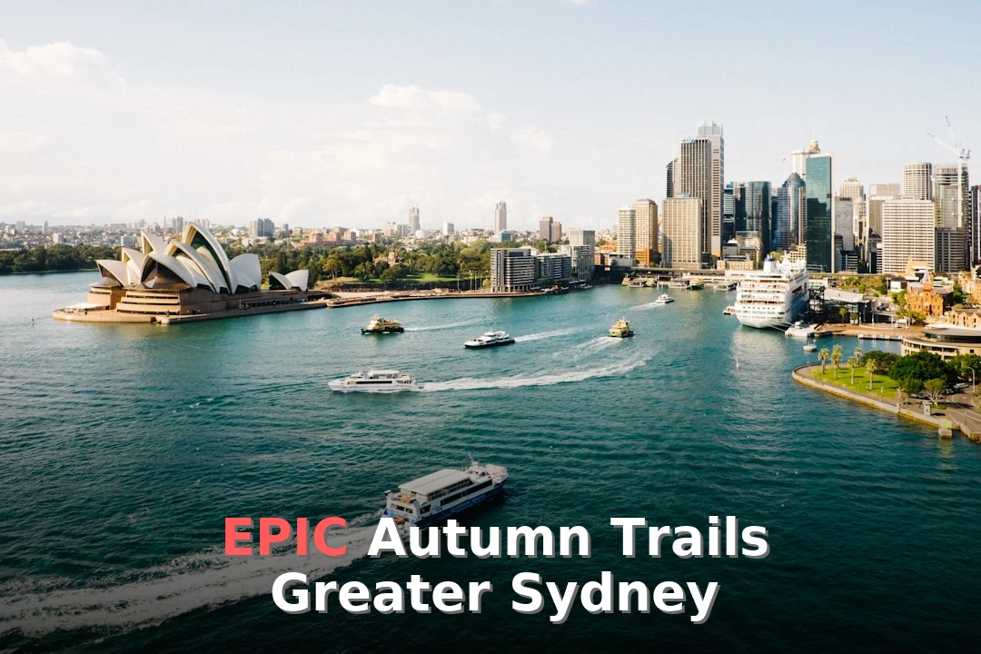 Hiking Autumn Guide for Greater Sydney
