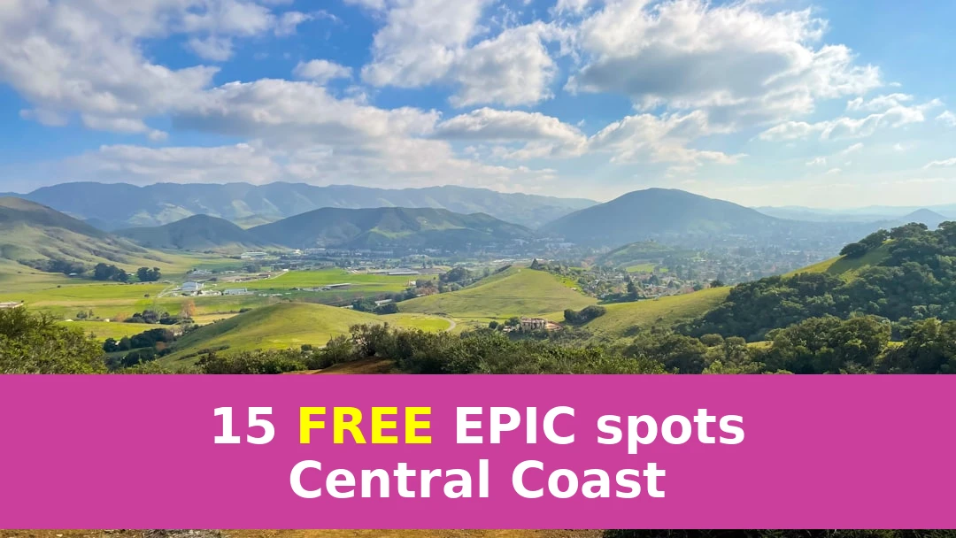Don’t Forget These Kayaking Essentials! 15 Ripper Spots on the Central Coast!