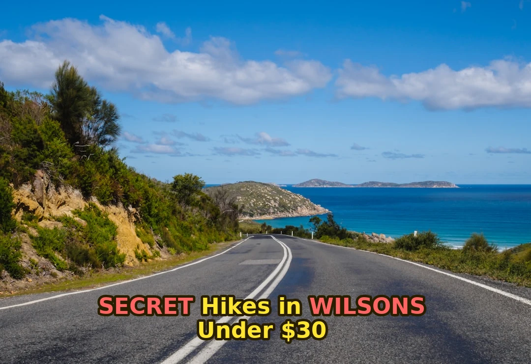 Ever wondered where the locals go when tourists take over Wilsons Prom?