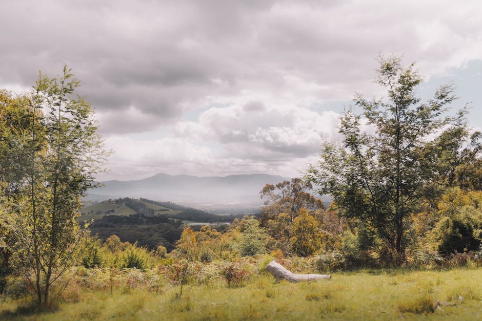 Camping Spring Guide for Western Victoria