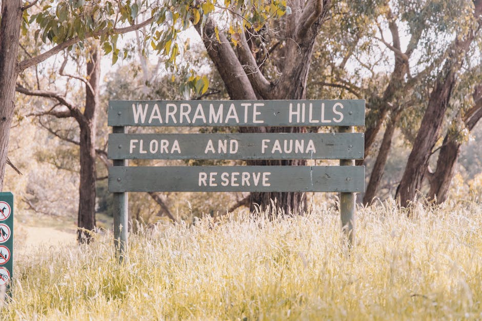 Camping Spring Guide for Western Victoria