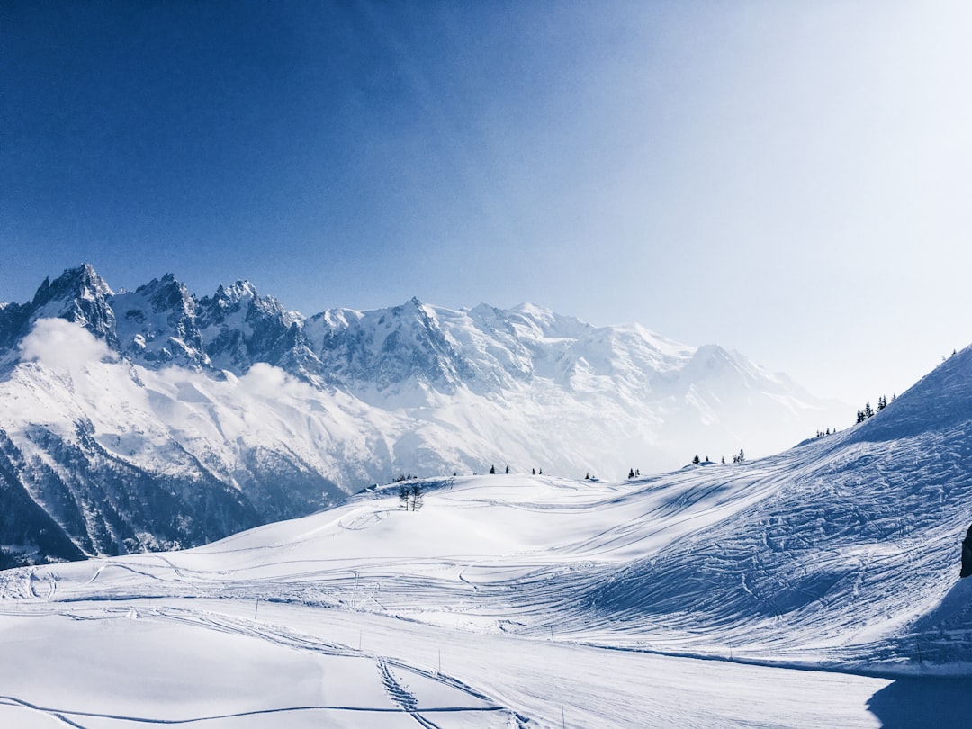 Mark your calendars – Snowy Mountains Festival 2026 is coming! 🏔️