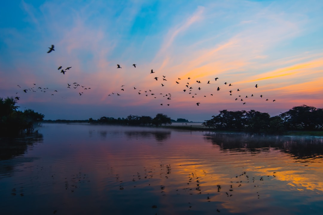 My top 10 picks for Kakadu activities – ranked!