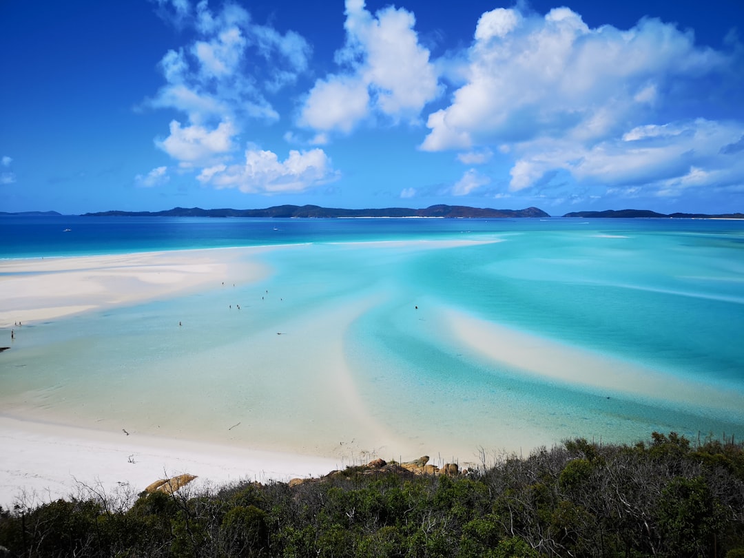 Here’s exactly what to buy for your Whitsundays adventure on a budget!