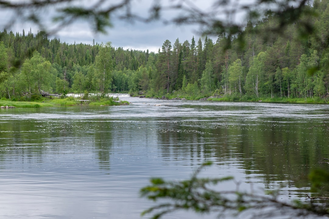 Northern Rivers Kayaking: Complete Area Guide