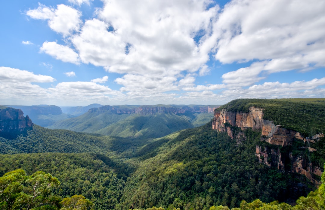 Did you know over 30,000 people flock to the Blue Mountains Festival annually? Mark your calendars – it’s coming!