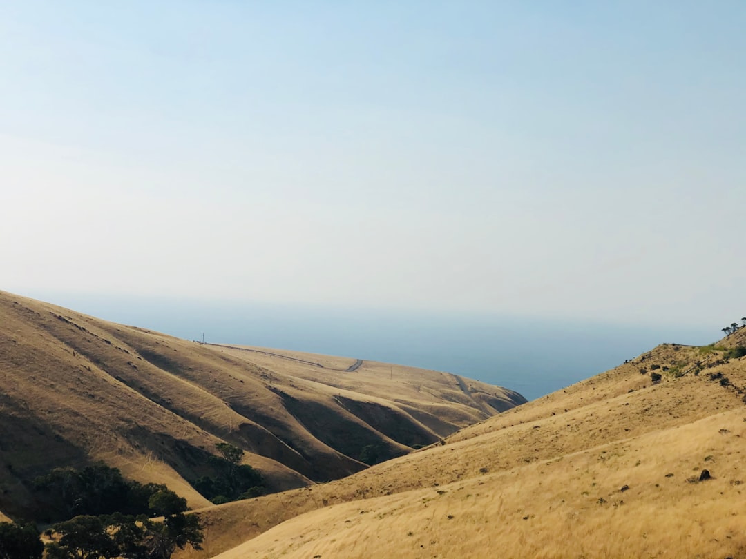 Surfing Summer Guide for South Australia
