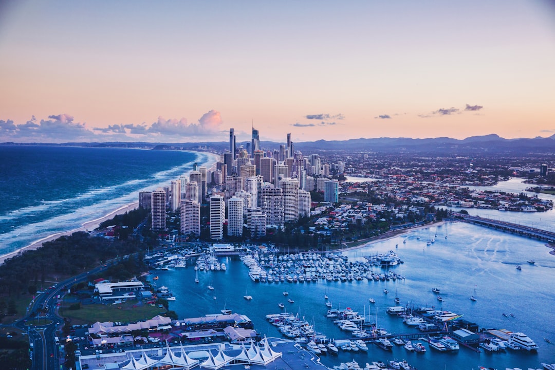 Mark Your Calendars – Gold Coast Festival is Coming! 🏄‍♂️🦘