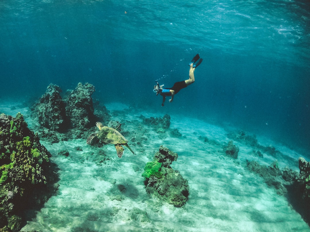 Don’t forget these Snorkeling essentials!