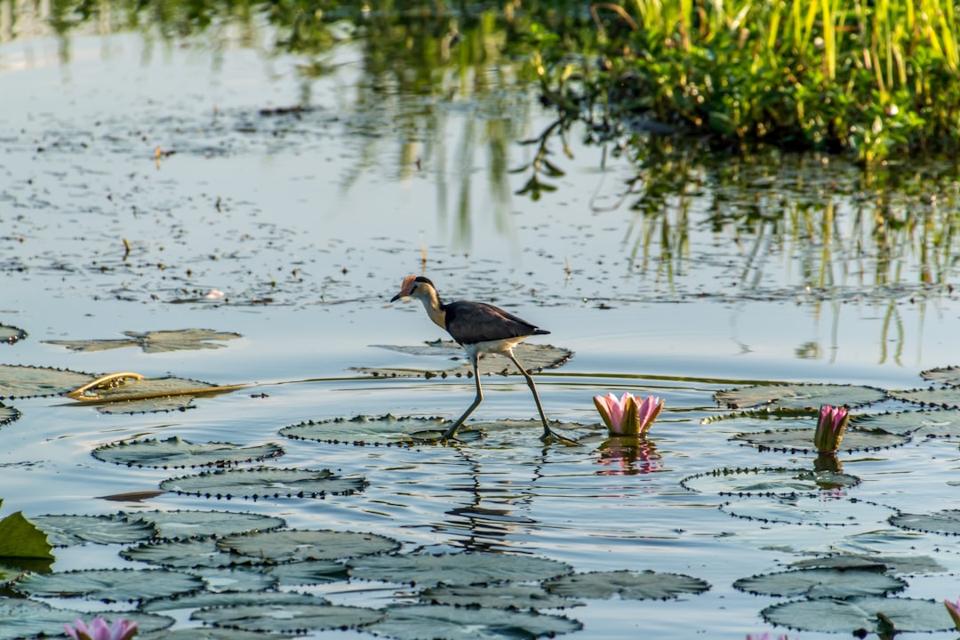 My top 10 picks for Kakadu activities – ranked!