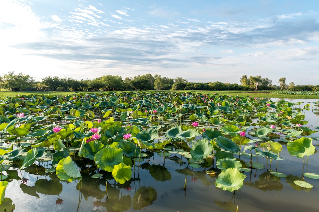 My top 10 picks for Kakadu activities – ranked!