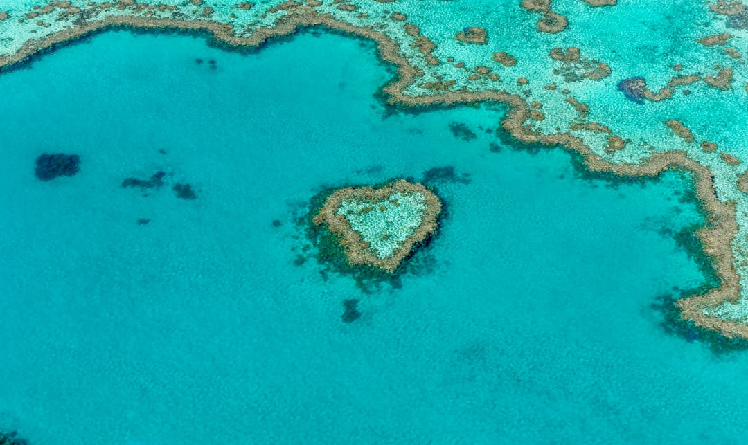 Here’s exactly what to buy for your Whitsundays adventure on a budget!