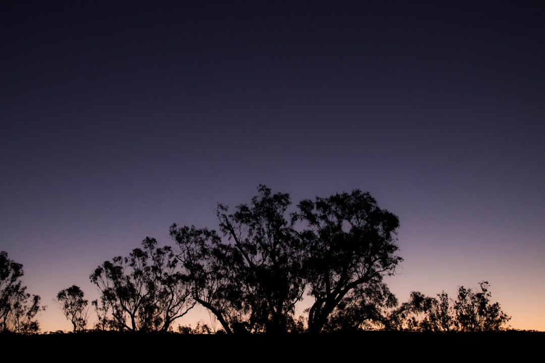 Complete Guide to Road Trip in Australia 2026
