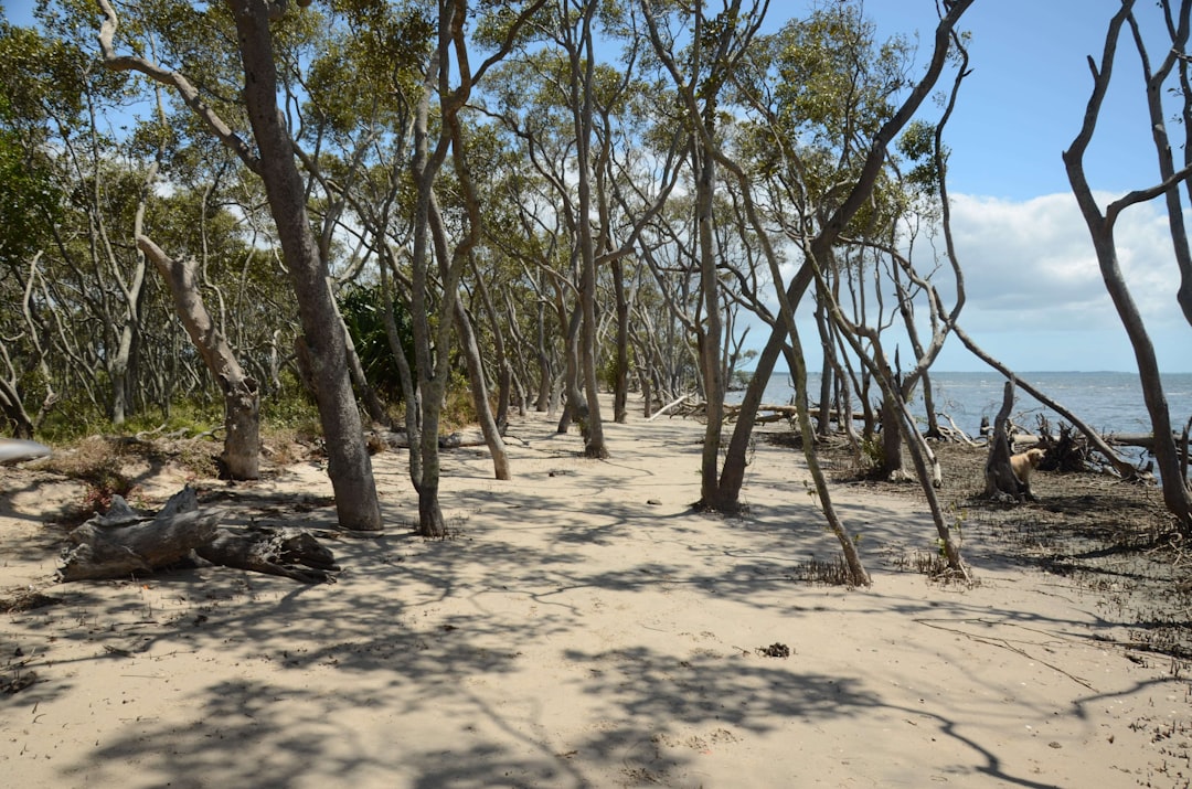 From Budget to Premium – Find Your Queensland Coast Autumn Activity Tier!