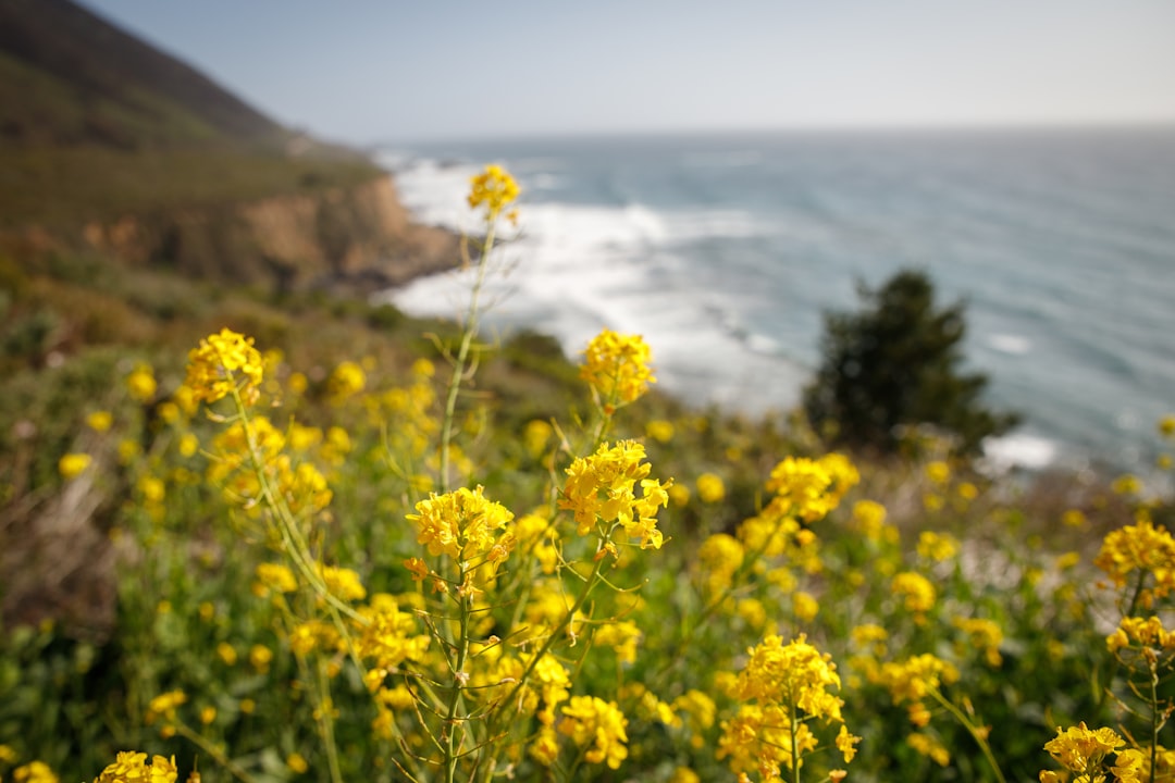 Mark your calendars – New Central Coast Trail is coming!