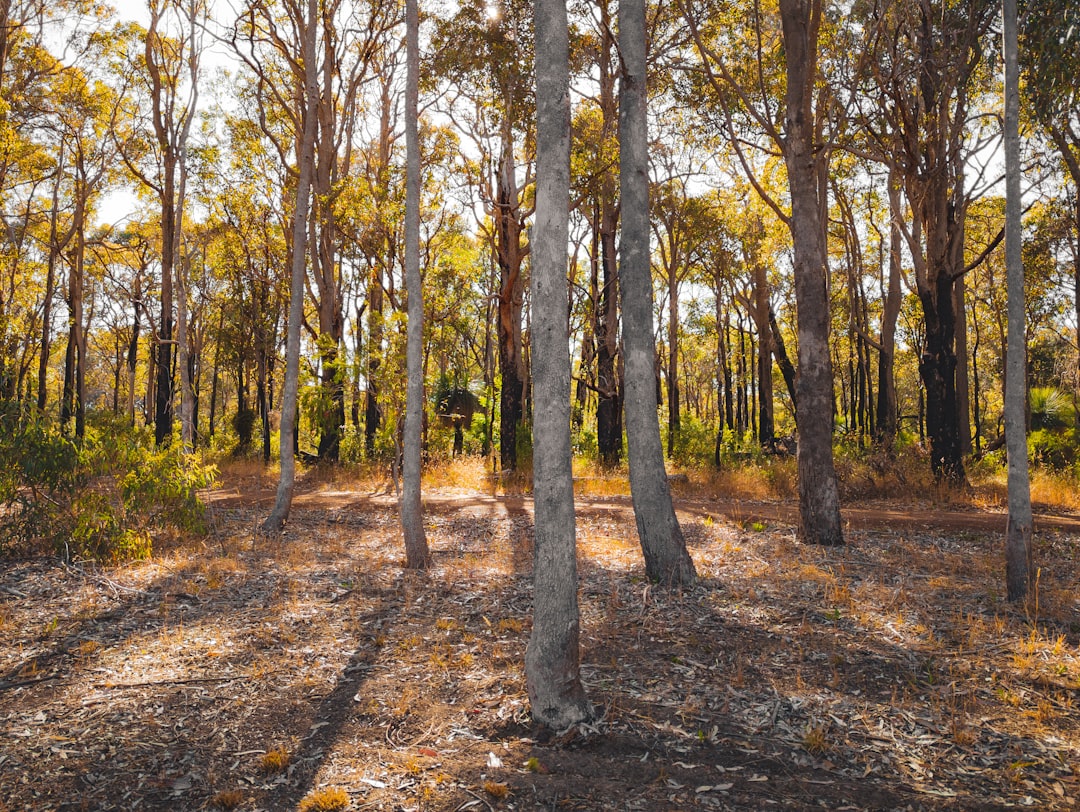 Complete Secret Margaret River Experiences gear breakdown by category!