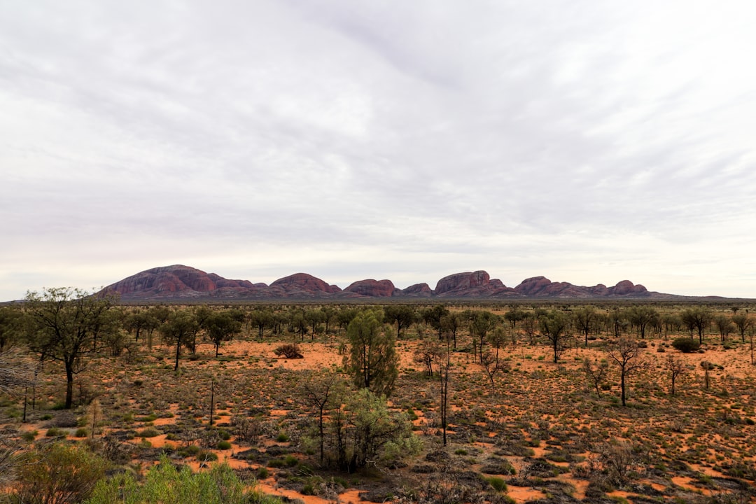 Outback SA Outdoor: Complete Area Guide