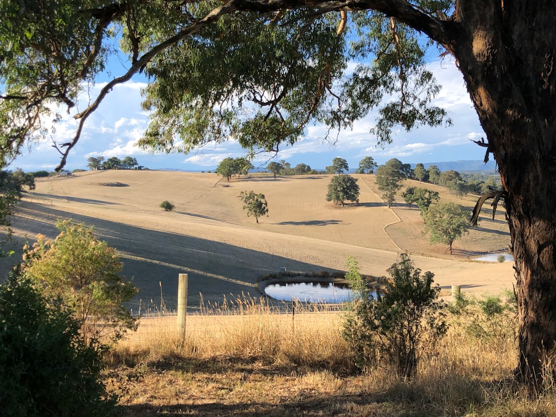 Ever wondered where the locals go in Yarra Valley? From budget to premium – find your hidden gem tier!