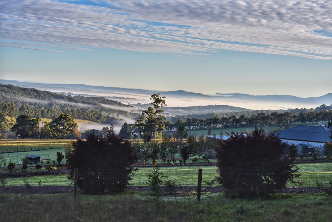 Ever wondered where the locals go in Yarra Valley? From budget to premium – find your hidden gem tier!