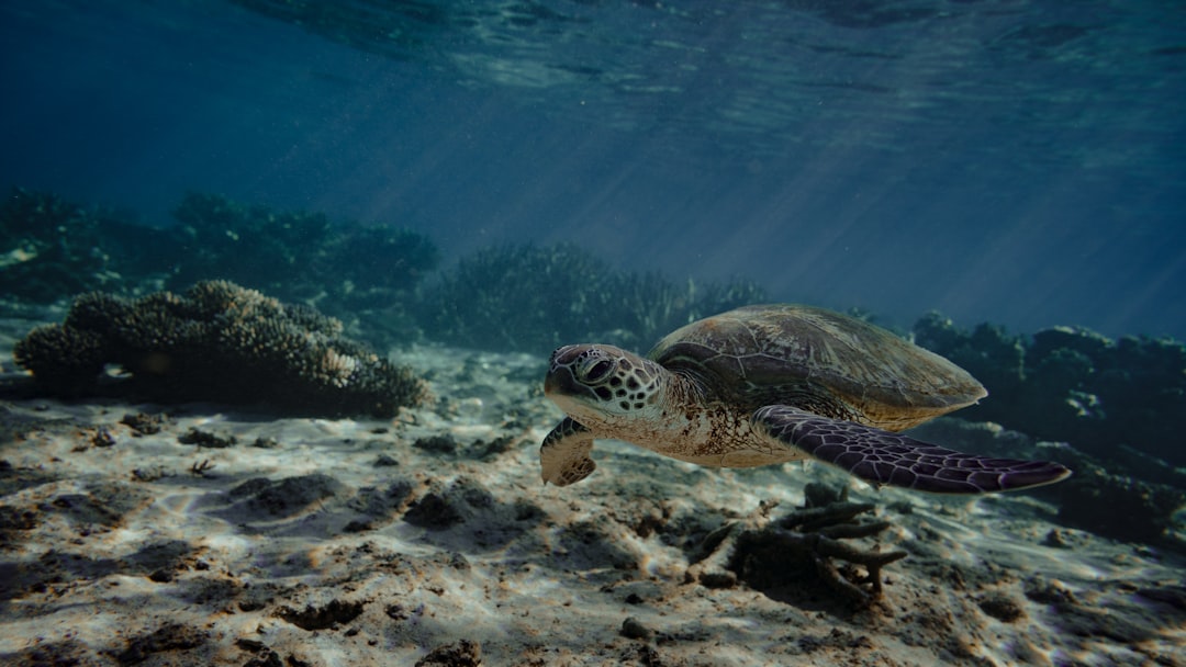 Heads up – new Ningaloo access rules coming into effect!