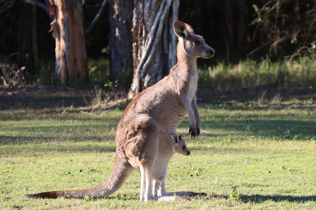 QLD Outdoor Guide: 7 Best Locations