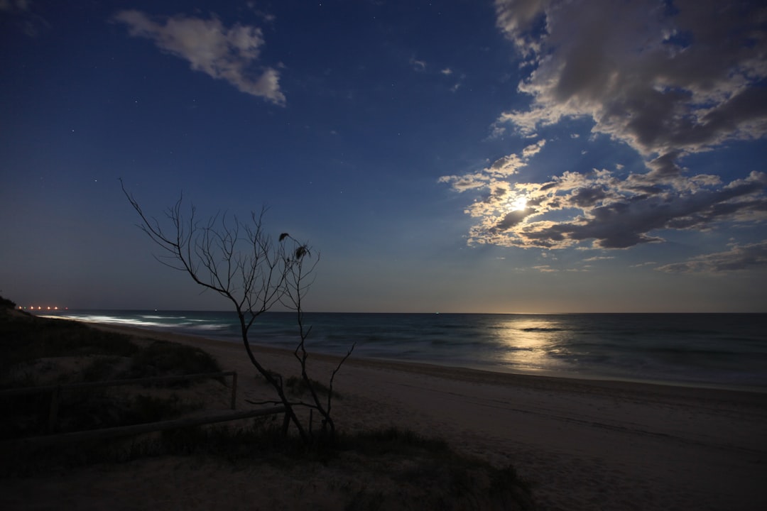 What to Do and What to Skip in South East Queensland!