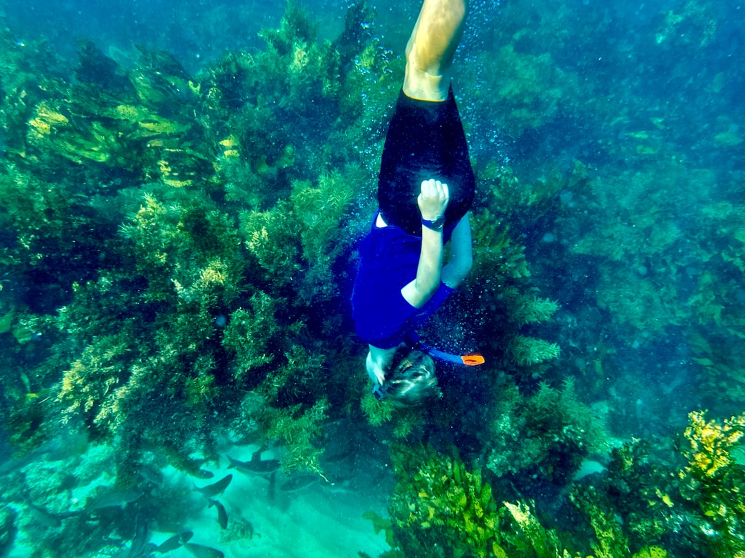 The Ultimate Australian Snorkeling Guide | Tips, Locations & More