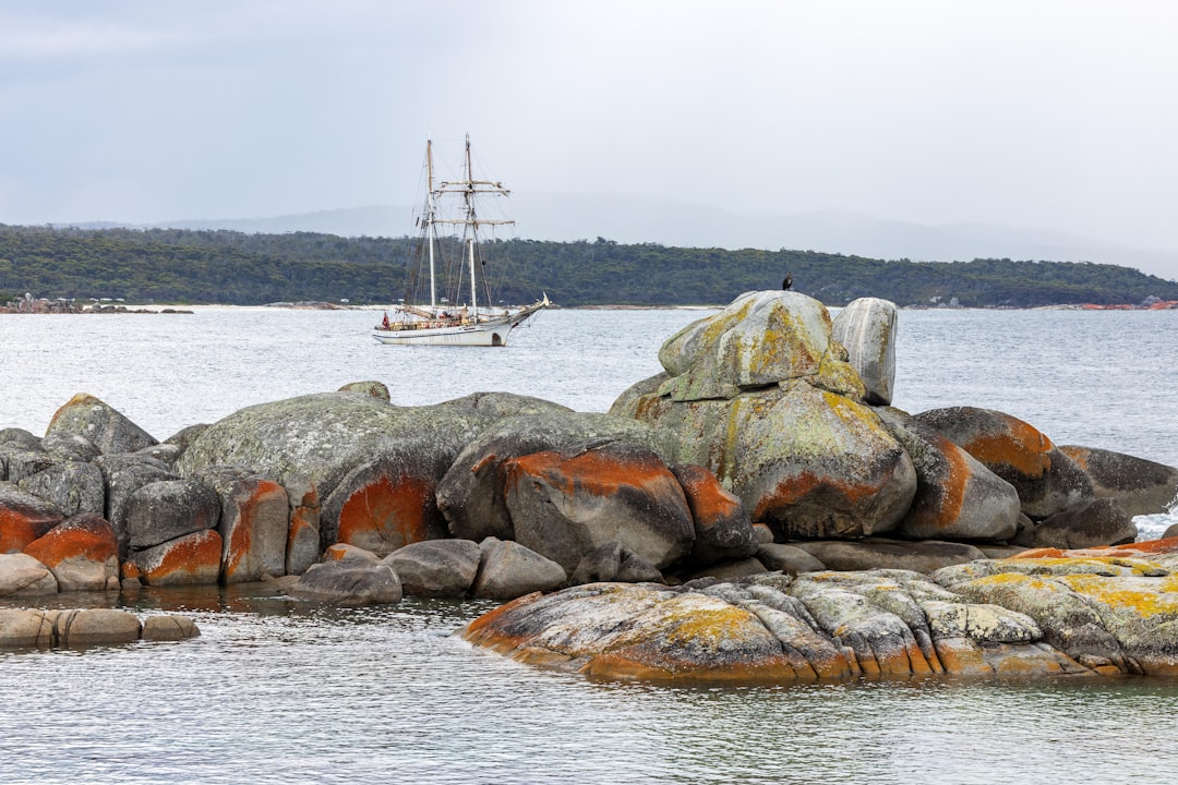 Mark your calendars – Hobart Festival is coming to Southern Tasmania this winter!