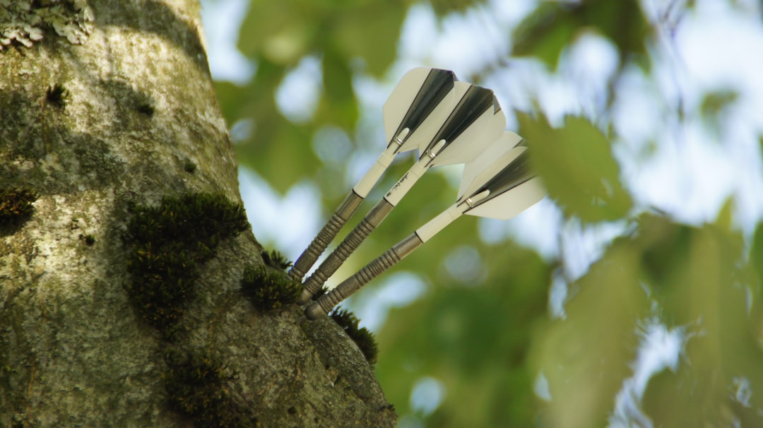 Want to Master Outdoor Essentials? Here’s Exactly How I Did It!