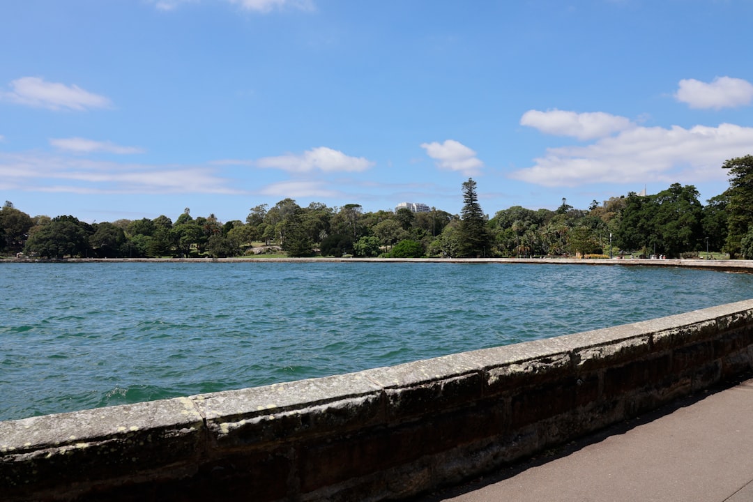 Calm blue water with trees and blue sky