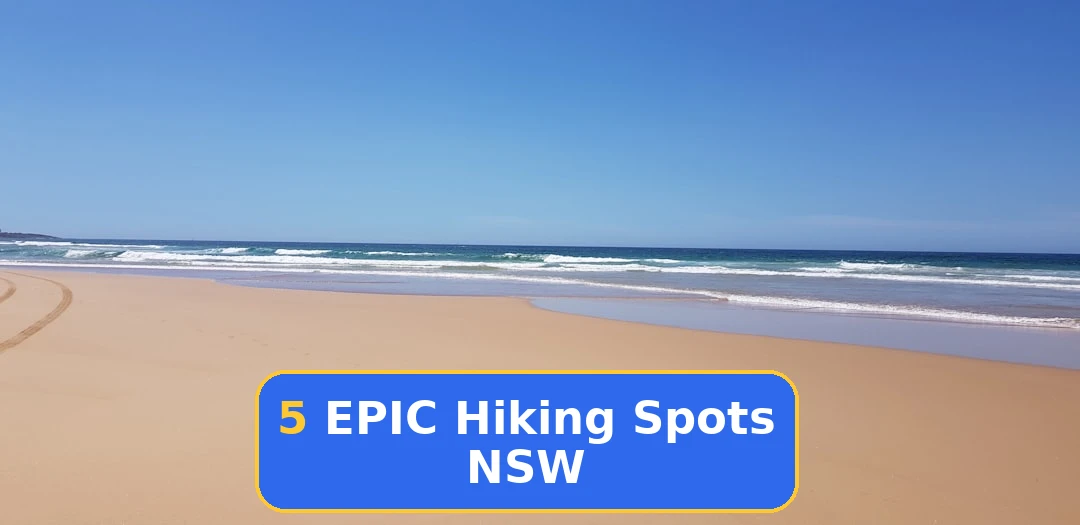 NSW Hiking Guide: 5 Best Locations