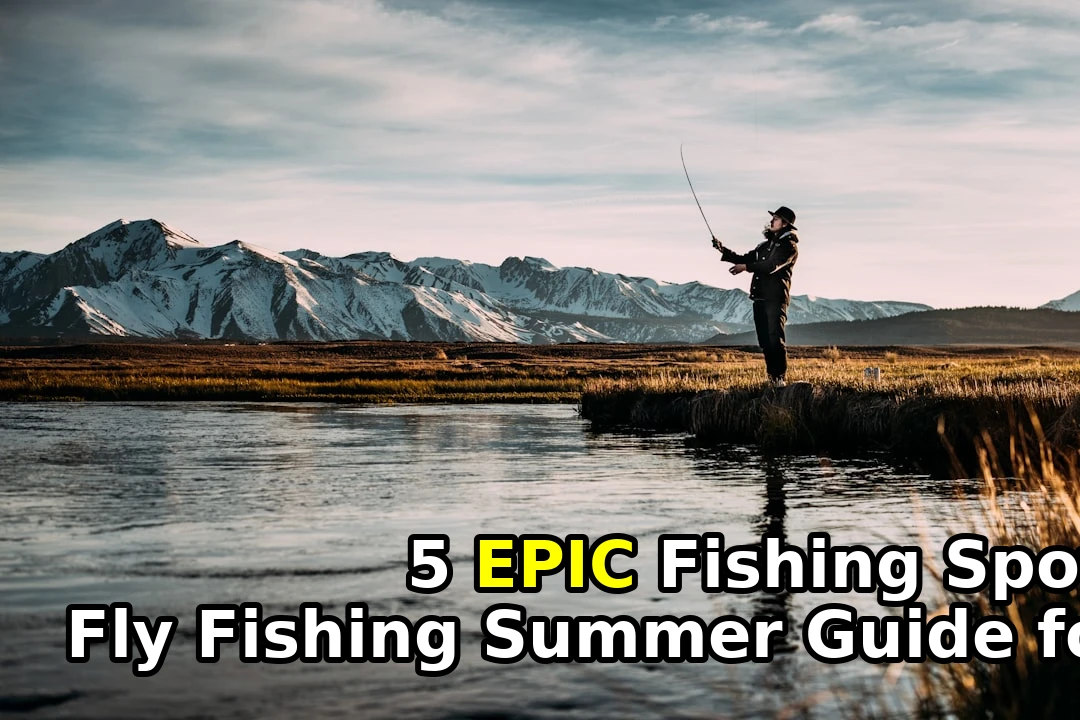 Fly Fishing Summer Guide for Australia