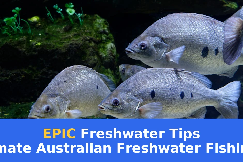 A school of fish swimming in a vibrant underwater aquarium setting.