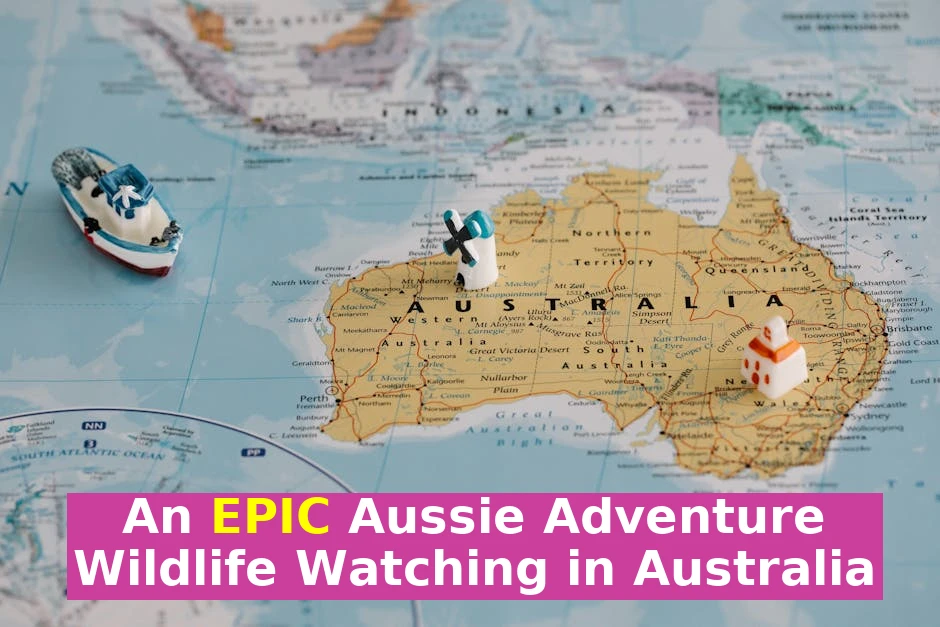 Wildlife Watching in Australia: Destinations, Tips & Planning