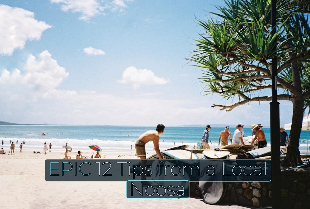 people on beach during daytime
