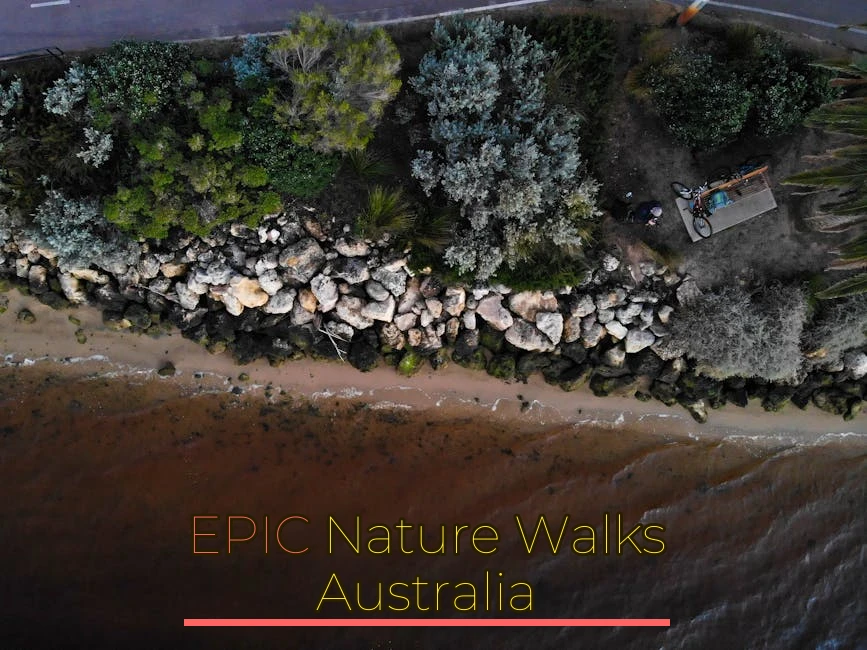 Aerial view of a scenic Perth shoreline with rocks and lush trees, ideal for nature and travel inspiration.