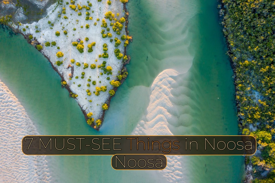 What If I Told You These Are The 7 Things You Can’t Miss In Noosa?! 🌴