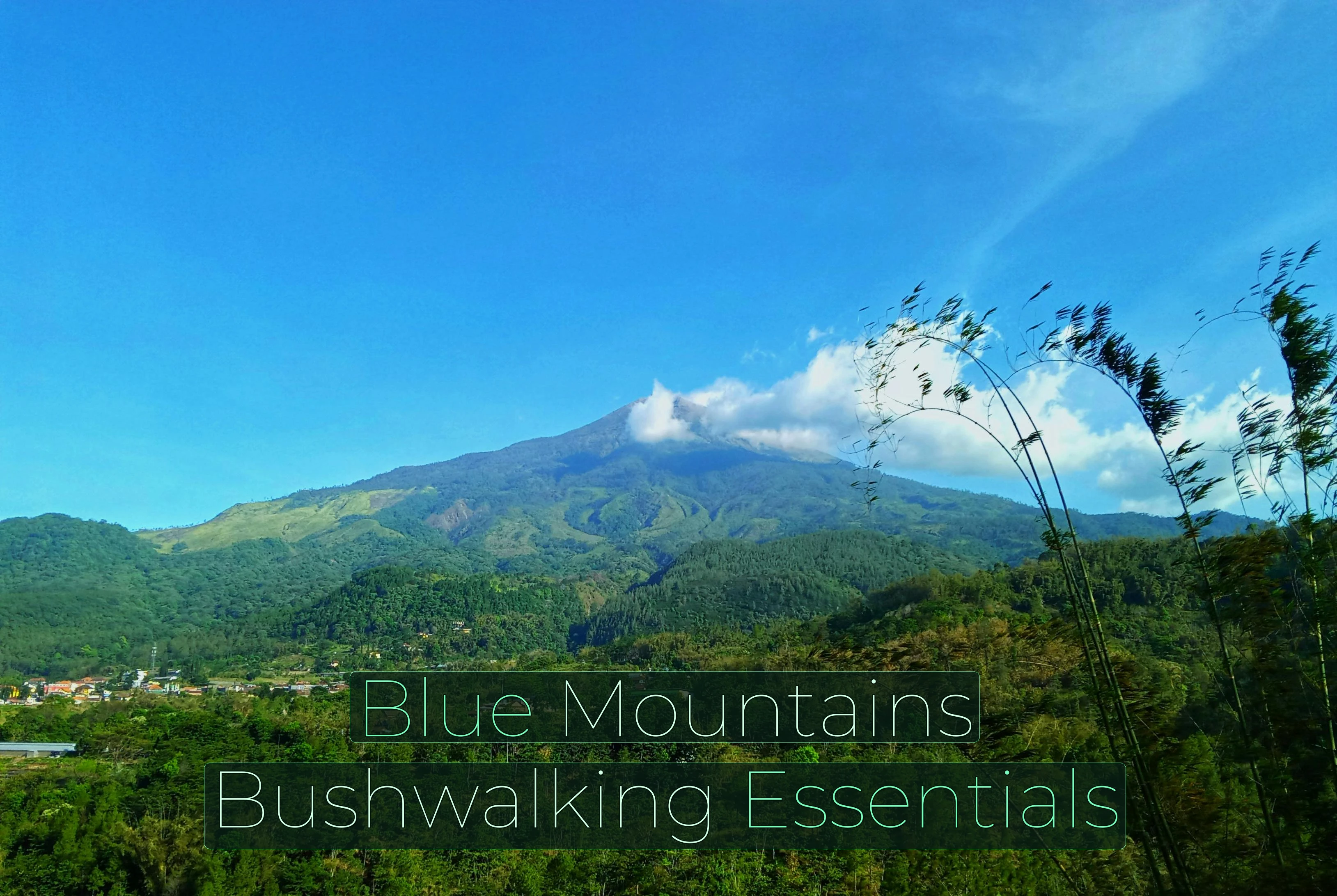 12 Essentials for Bushwalking in Blue Mountains: Don’t Forget These Adventure Essentials! 🥾