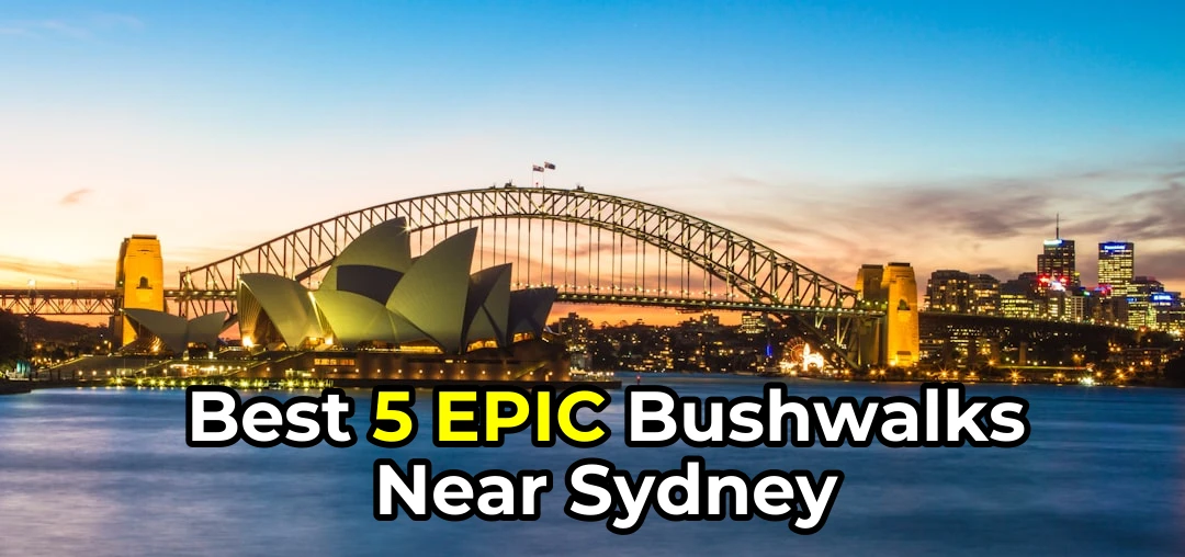 Did you know Sydney has over 400km of coastline? My top 5 picks for bushwalking near Sydney – ranked! 🦘