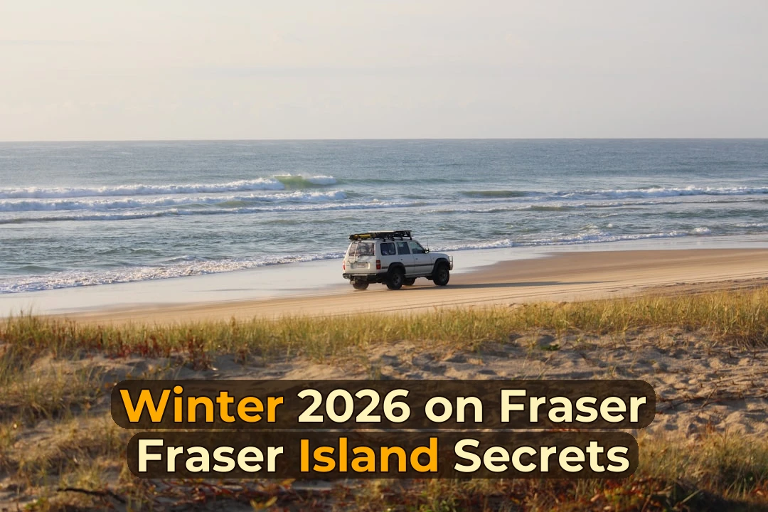white vehicle beside seashore during daytime