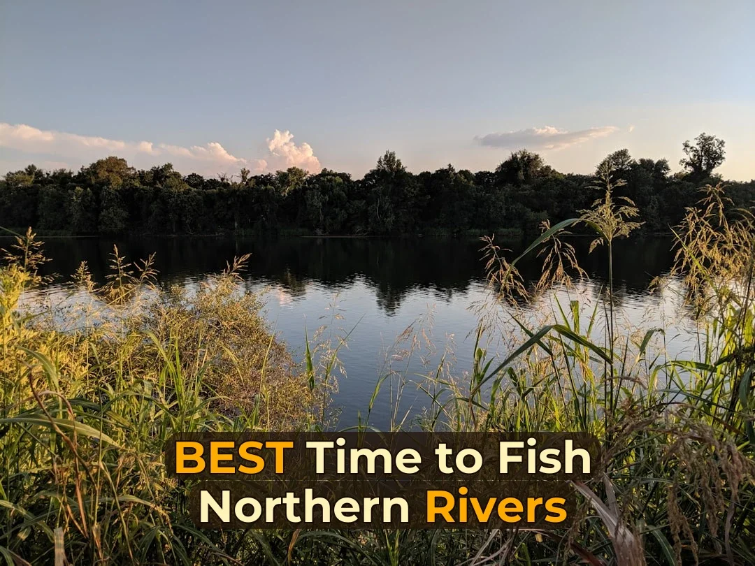 Best Time for Fishing in Northern Rivers | Monthly Breakdown